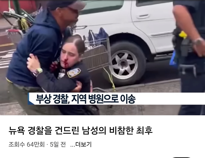 1000038262.png 요즘 허접한 뉴욕 경찰 NYPD