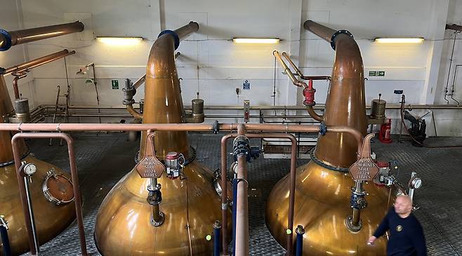 스코틀랜드 스카이섬 양조장에 있는 탈리스커의 증류기./연선옥 기자