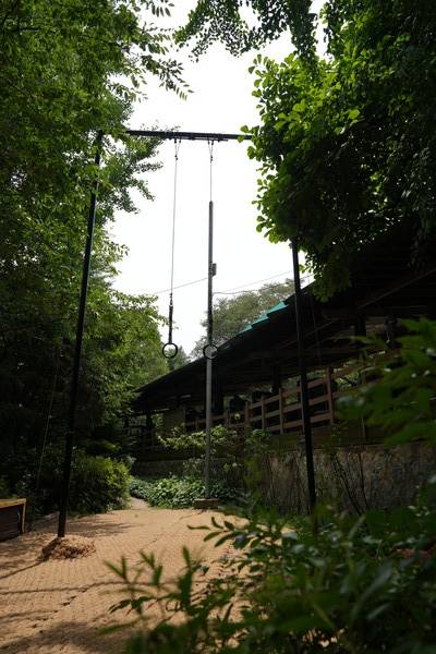 기계체조 시 사용하는 링도 설치되어 있다.