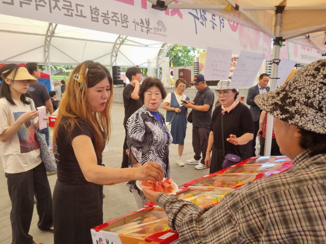 ▲ 제23회 치악산 복숭아 축제장을 찾은 시민들이 복숭아 작목반에서 마련한 시식코너에서 올해 복숭아를 맛보고 있다.