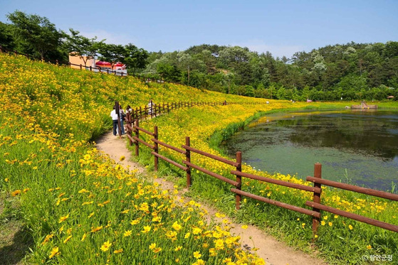 Akyang Ecological Park in Haman County has a sprawling display of seasonal flower beds. [HAMAN COUNTY]