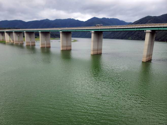 지난달 29일 오전 강원 인제군 소양호 상류에 최근 폭염 지속으로 녹조가 발생해 강물이 초록빛을 띠고 있다. [연합]