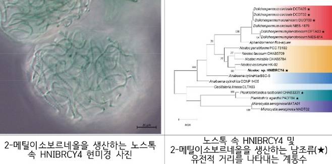 국립호남권생물자원관 제공