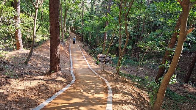 계림공원에 800ｍ 맨발 산책로 조성 [당진시 제공. 재판매 및 DB 금지]