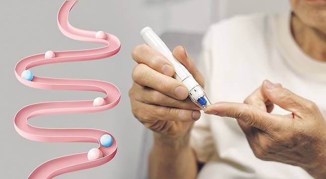 당뇨와 비만은 서로 영향을 주고 받기 때문에 둘다 개선해야 한다. 당뇨병 치료제가 비만 치료에도 효과가 있는 것을 보면 알 수 있다. 최근 혈당을 낮춰주는 유산균이 체지방도 감소시켜주는 것으로 확인됐다. /헬스조선 DB