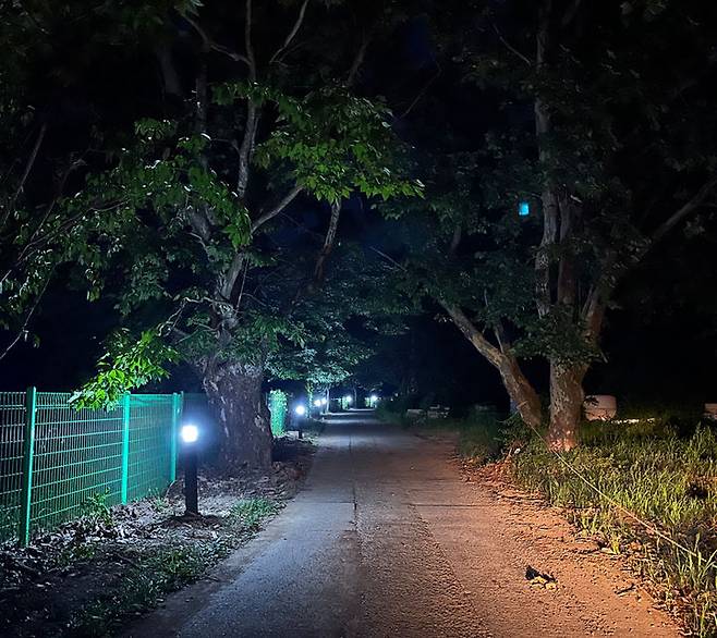 [밀양=뉴시스] 안지율 기자 = 명품 밀양아리나 둘레길 LED 조명등. (사진=밀양시 제공) 2024.08.21. photo@newsis.com *재판매 및 DB 금지