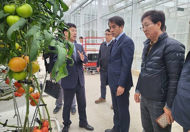 [보은=뉴시스]경북 상주시 스마트팜 혁신밸리 둘러보는 보은군수 일행. (사진=보은군 제공) *재판매 및 DB 금지