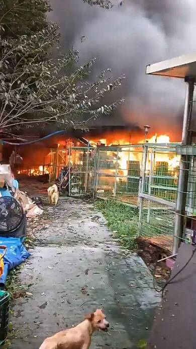 22일 오후 화재가 발생한 경기 남양주시 진건읍 한 유기견보호소 모습. 연합뉴스