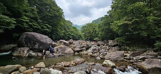 전남 구례군 연곡사 앞으로 흐르는 피아골 계곡