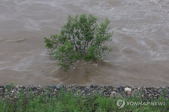 수위 올라가는 임진강 경기도 연천군 군남홍수조절댐이 북한에서 비무장지대(DMZ)를 통해 흘러들어온 임진강 상류의 물을 방류하자 댐 하류 지역에 물이 차오르는 모습. [연합뉴스 자료사진]