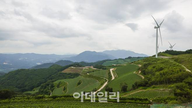 해발 1100m에 있는 고랭지 채소 단지 안반데기와 풍력발전기