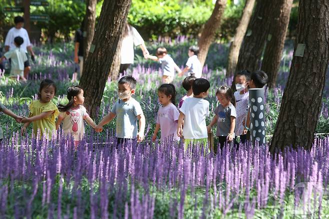 ‘제2회 장항 맥문동 꽃축제’가 23~27일 충남 서천군 장항 송림산림욕장에서 펼쳐진다. (서천군 제공) /뉴스1