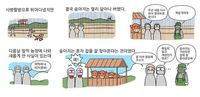 베토리(정철 수의사 제공) ⓒ 뉴스1