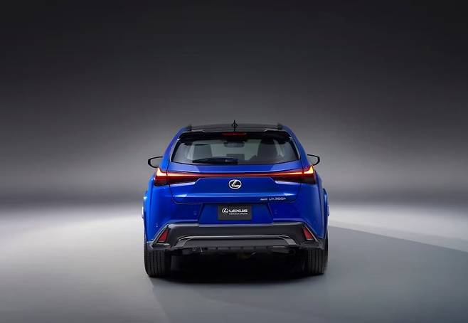 2025 렉서스 UX 300h