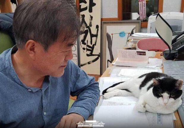 문재인 전 대통령이 재임 시절인 2021년 설에 청와대에서 반려묘를 보며 웃고 있다 /페이스북