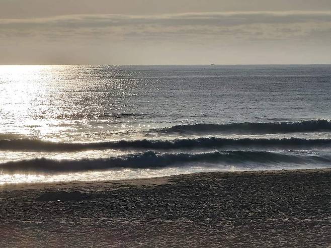 바닷가에서 지구의 역사와 함께한 파도를 보며 근심을 떠나 보내는 '파도멍'도 인기다. /SNS