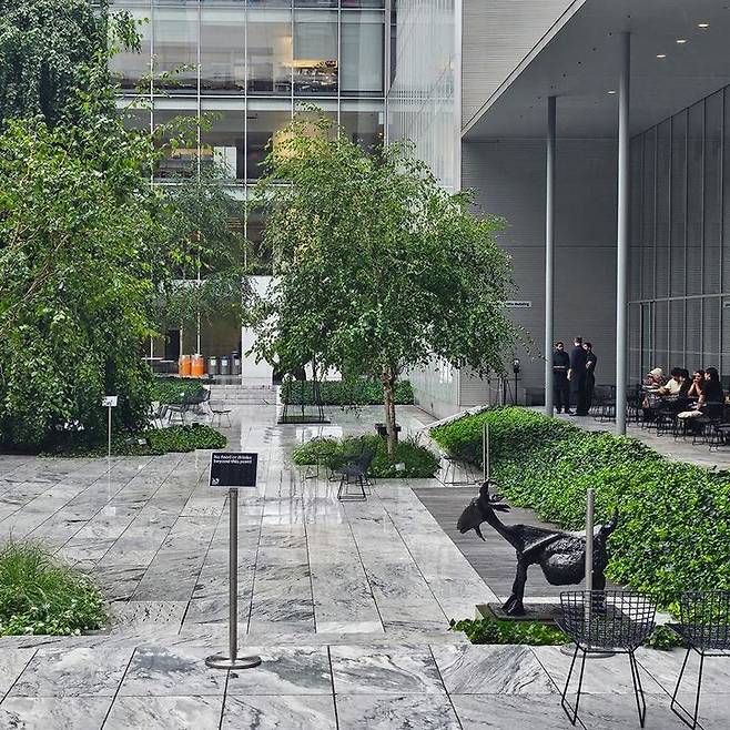 [사진=이한빛]파블로 피카소의 암염소가 설치된 MoMA 정원. 전경  *재판매 및 DB 금지