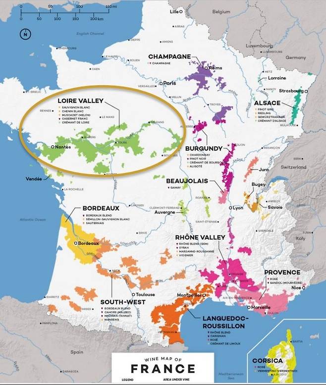 프랑스 주요 와인산지와 루아르밸리 위치. 와인폴리