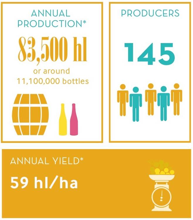 소뮈르 와인 현황.&nbsp;부베 라뒤베