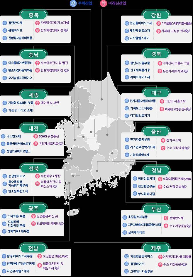 지역혁신선도기업육성 사업의 지역주력산업 인포그래픽.(중소벤처기업부 제공)