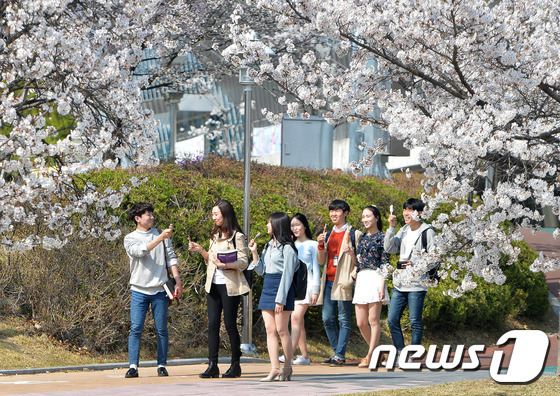 (사진은 기사 내용과 무관함) / 뉴스1 ⓒ News1