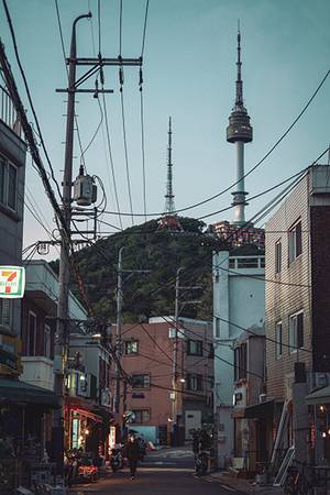 *기사의 이해를 돕기 위한 사진(사진 픽사베이)