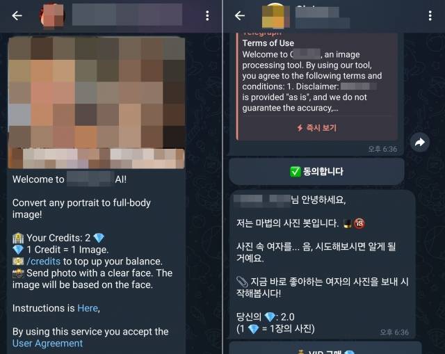 딥페이크기술을 사용해 불법합성물을 만들어주는 텔레그램 대화방. 한 대화방에서는 "좋아하는 여자의 사진을 보내 시작하라"고 홍보했다. 텔레그램 캡처