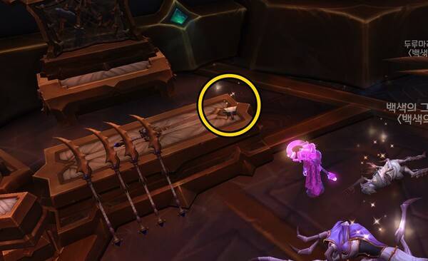 -&nbsp;새끼거미의 실붓