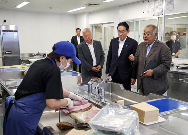 기시다 후미오(왼쪽 네 번째) 일본 총리가 24일 일본 후쿠시마현 이와키 오나하마 어시장을 둘러보고 있다. 후쿠시마=지지·EPA 연합뉴스