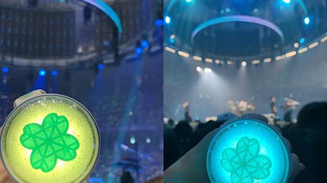 [서울=뉴시스] 한 팬이 밴드 데이식스의 콘서트장에서 공식 응원봉을 들고 있다 (사진= 팬 제공) 2024.8.28. photo@newsis.com *재판매 및 DB 금지