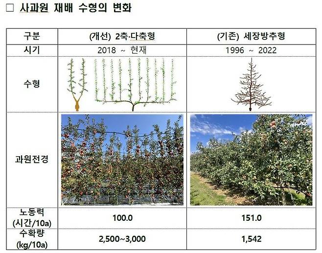 사과원 재배 수형의 변화. (자료 = 농촌진흥청 제공) 2024.08.28.  *재판매 및 DB 금지