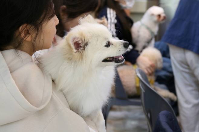 댕댕이와 함께하는 숲속 멍스토랑/사진제공=국립자연휴양림관리소