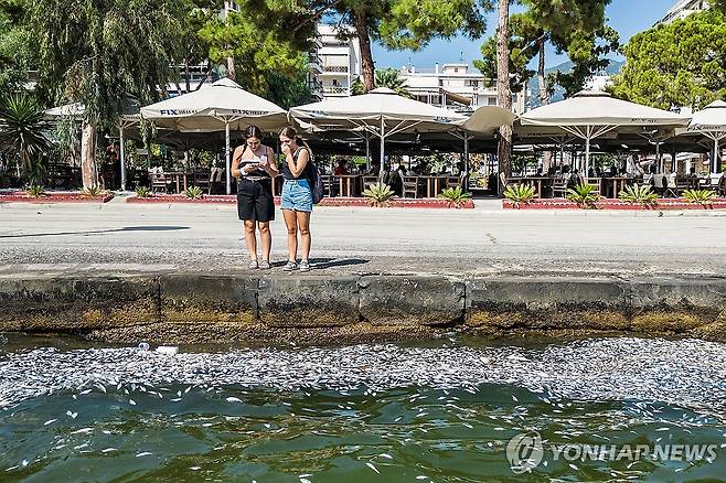 볼로스 항구로 떠밀려온 물고기 사체 (볼로스 EPA=연합뉴스) 27일(현지시간) 그리스 중부 도시 볼로스의 항구에서 두 여성이 바다에 떠다니는 죽은 물고기를 바라보고 있다. 2024.08.27 photo@yna.co,kr