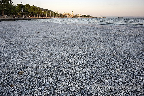 EPA 연합뉴스