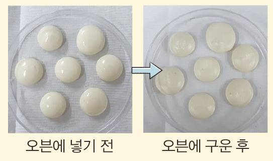 연구팀은 미생물 용해물로 머랭쿠키를 만드는 데 성공했다. KAIST 제공&nbsp;