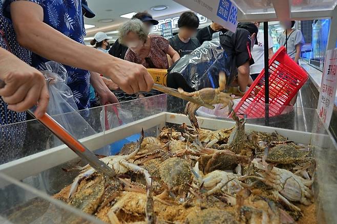 고객들이 서울 송파구 롯데마트 제타플렉스 잠실점 수산코너에서 ‘서해안 햇꽃게’를 구매하고 있다. 연합뉴스