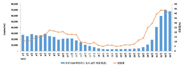 코로나19 병원체 검출률 및 하수감시 현황 (2024년 1~34주)