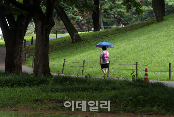 지난달 7일 서울 올림픽공원에서 한 사람이 걷고 있다.(사진=이데일리 김태형 기자)