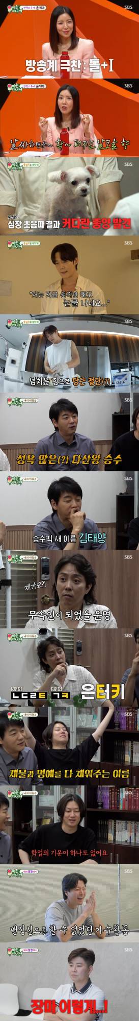 미운우리새끼(미우새), 이름풀이로 본 결혼운 (사진: SBS)