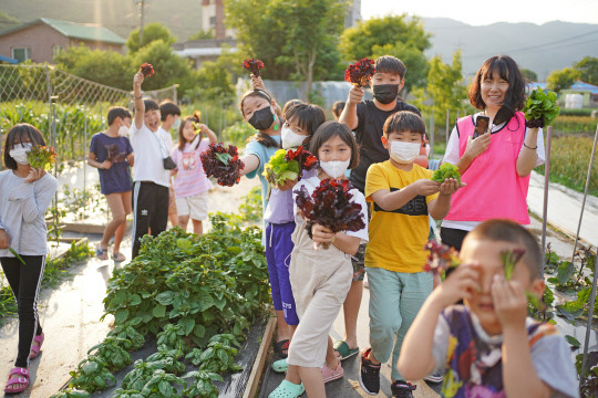 아미골마을학교 학생들이 교육과정연계 텃밭교육 작물을 수확하고 있다. 충남교육청 제공.