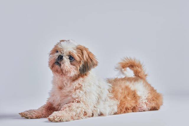 게티이미지뱅크