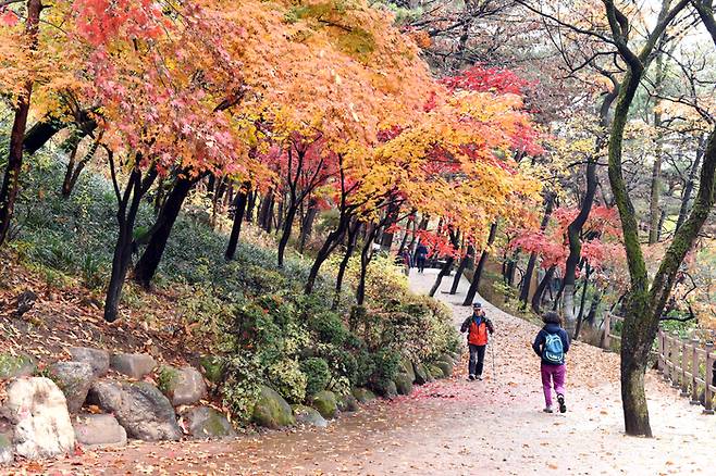 시민들이 서울둘레길 용마산·아차산 구간을 걷고 있다. 서울시 제공