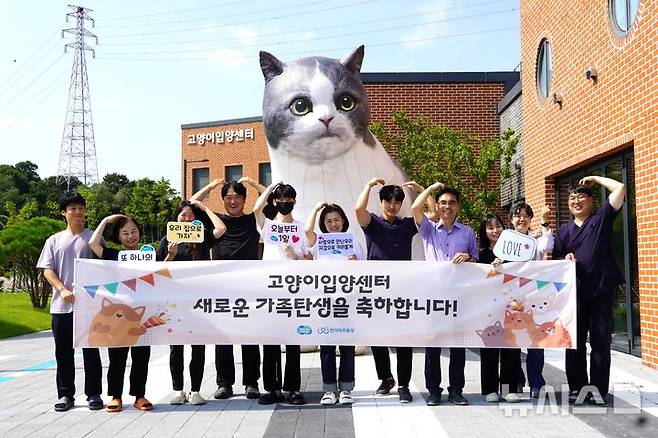 [의정부=뉴시스] 반려마루 화성 고양이 입양센터. (사진=경기도청 제공) 2024.09.04 photo@newsis.com