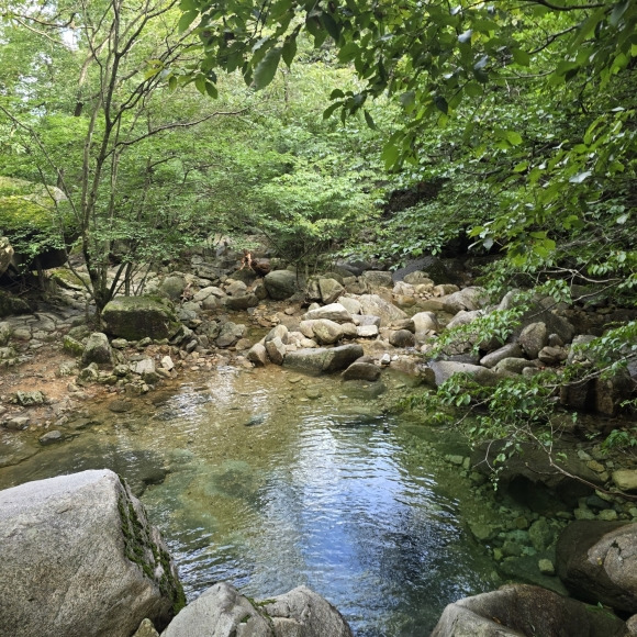 도림사 계곡은 폭포와 노송이 어우러져 시원스런 풍경을 만들어낸다.