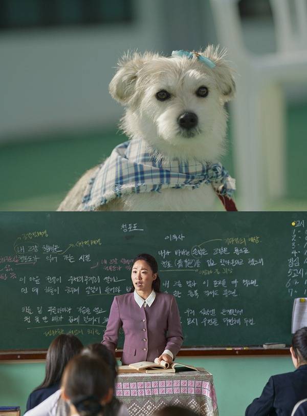 사진 출처=㈜마인드마크 제공 / 영화 '빅토리' 스틸컷