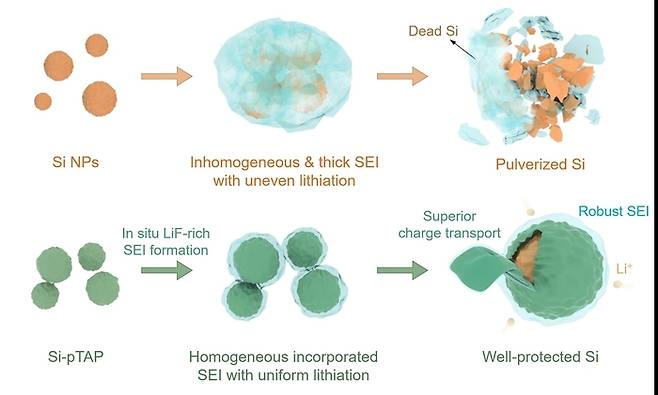 설폰산 기반 전도성 고분자에 의한 균일하고 안정적인 인공 고체 전해질 계면 형성에 따라 고안정성 실리콘 음극재의 모식도