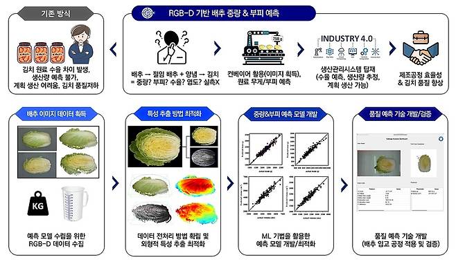 배추 중량·부피 예측 모델 [세계김치연구소 제공. 재판매 및 DB 금지]