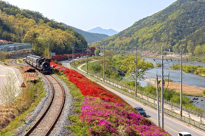 곡성 섬진강변 [전남도제공]