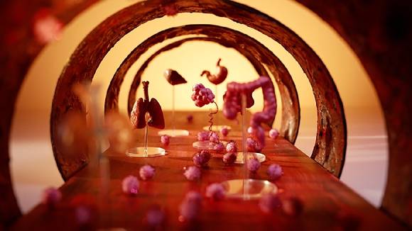 전이성 복막암의 경우에는 난소, 자궁, 위, 간, 소장, 대장, 췌장 등 여러 장기에서 전이되어 발생한 암이기 때문에 환자들은 대부분 3, 4기에 암을 발견하게 된다. 또한 5년 내 재발률이 80%로 예후가 좋지 않다. [사진=EBS]