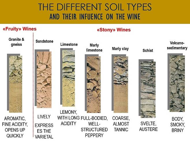 알자스 토양별 특징. 폴 미트나흐